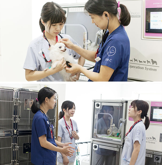 担当獣医師と動物看護師の存在