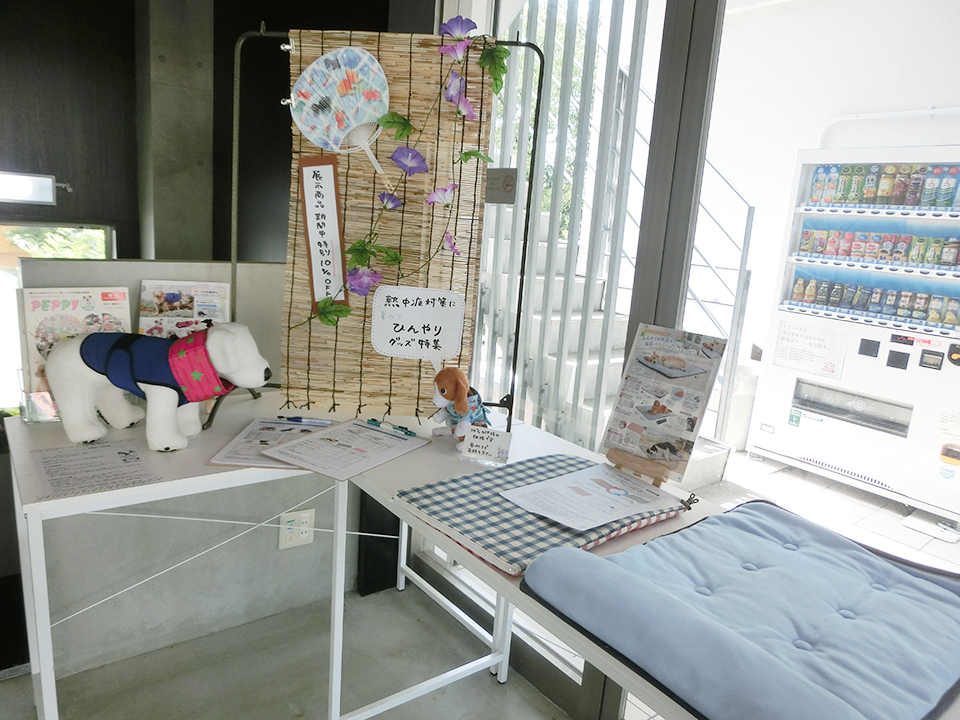 展示型イベント