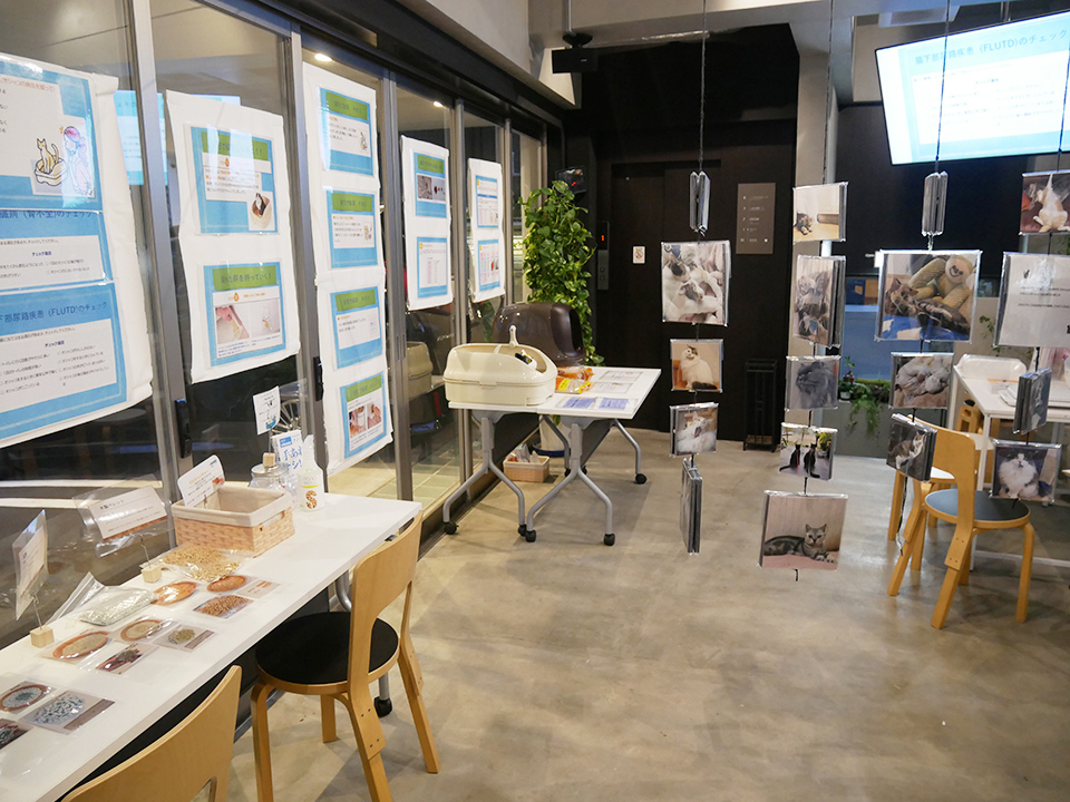 イベント