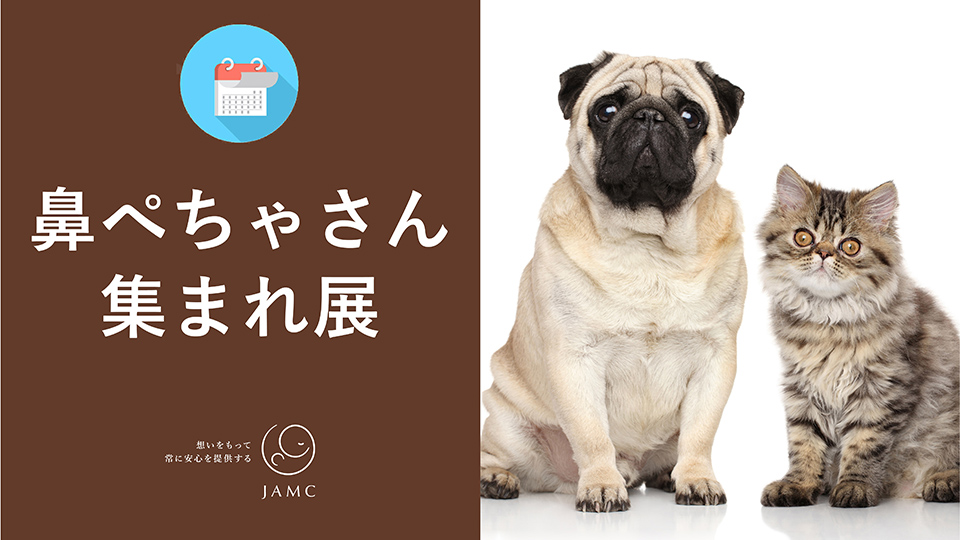 ウェブ写真展