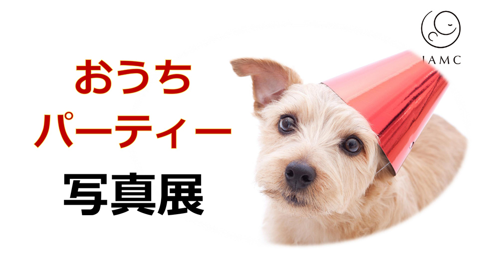 ウェブ写真展
