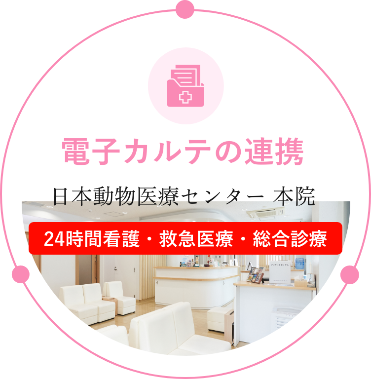 電子カルテの連携
