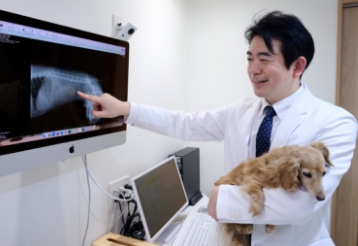 麻布十番犬猫クリニック