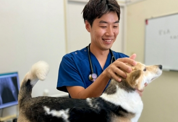 麻布十番犬猫クリニック 宮古島分院